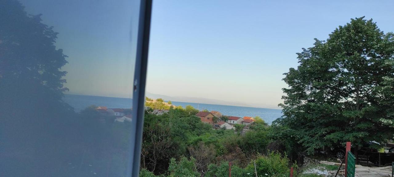 Lakeview Stojovic