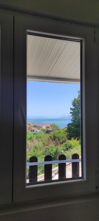 Lakeview Stojovic *